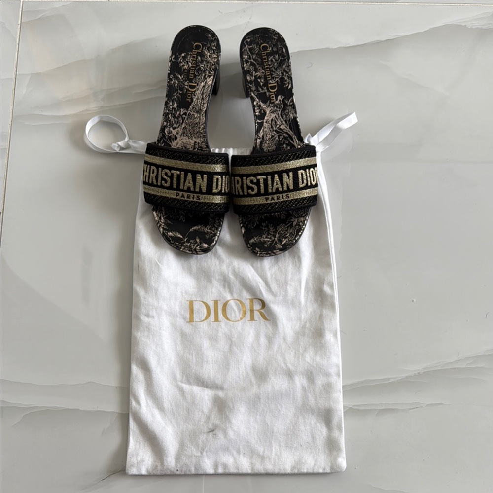 Christian Dior Dway Embroidered Slide Sandals